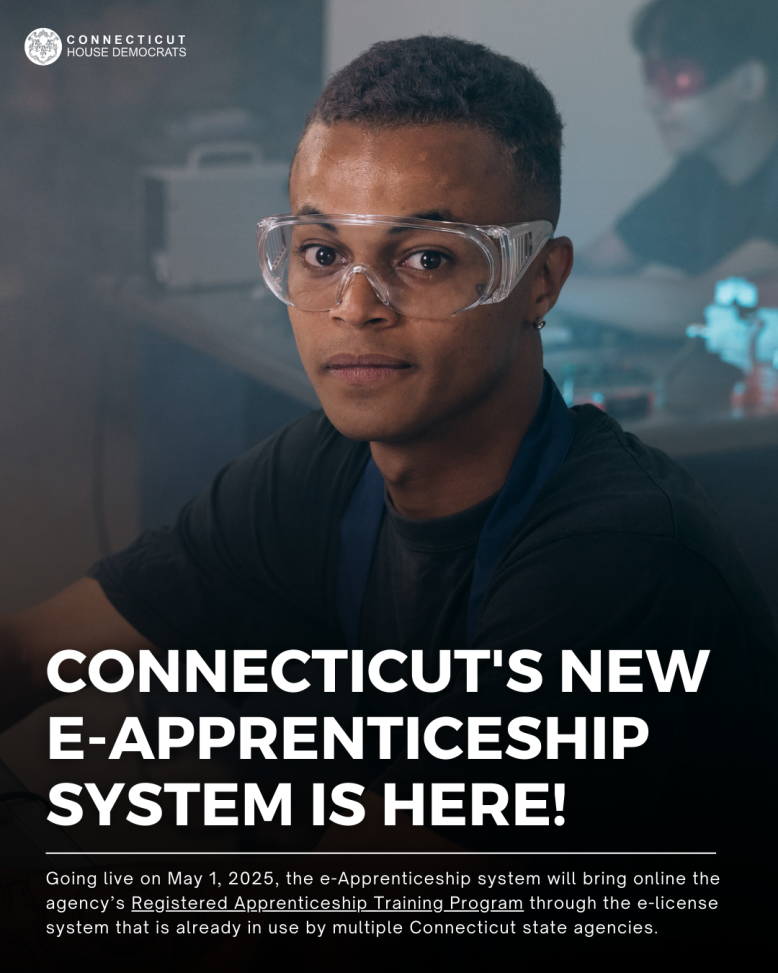 e-Apprenticeship
