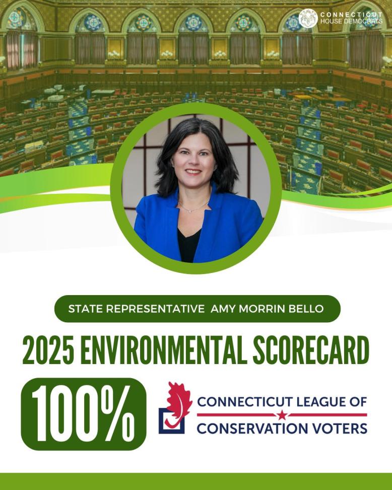 AMB 100 scorecard 2025