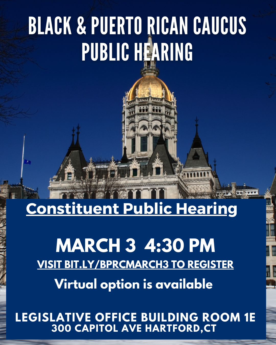 BPRC Public Hearings