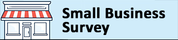 Small Business Survey