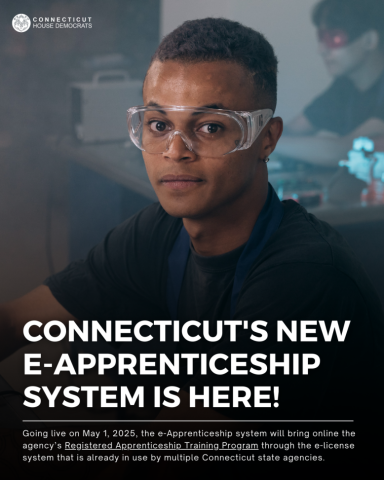 e-Apprenticeship