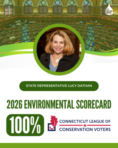 dathan environmnt 2026