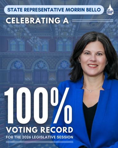2026 votin record