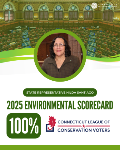 santiagoh environment 2025